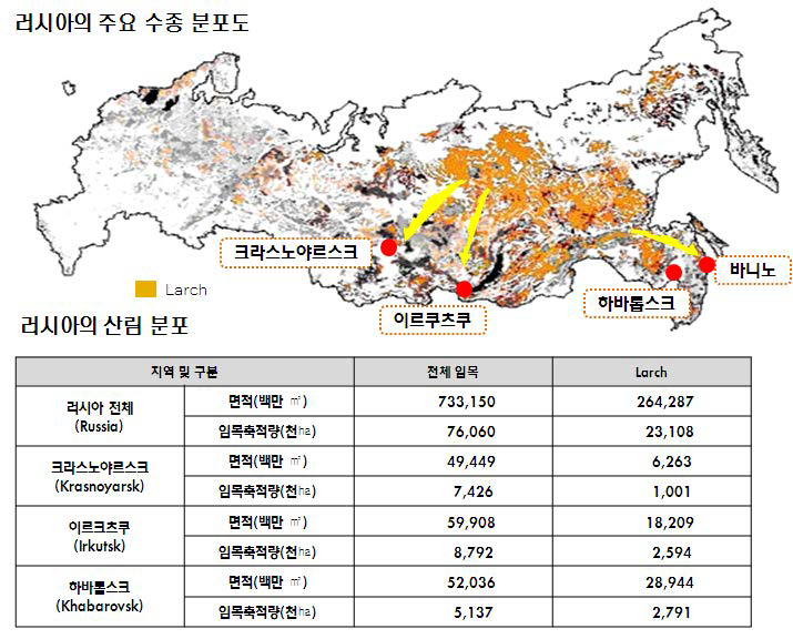 러시아 지역에 따른 낙엽송 분포