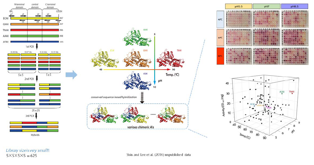 다양한 특성을 지닌 공정효소의 스와핑을 통한 스마트 라이브러리 제작 및 탐색