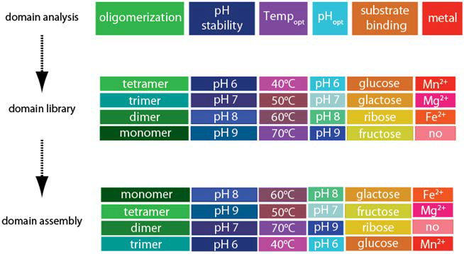 Concept of protein (AIs) structure based-domain analysis