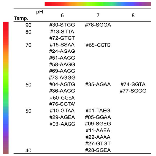 온도, pH에 대해 활성을 보이는 다양한 clone을 선택하여 hybrid L-arabinose isomerase sequence, 도메인 분석 및 제작된 Hybrid L-arabinose isomerase의 분포도