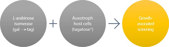 타가토스 auxotroph을 활용한 growth-associated screening 모식도