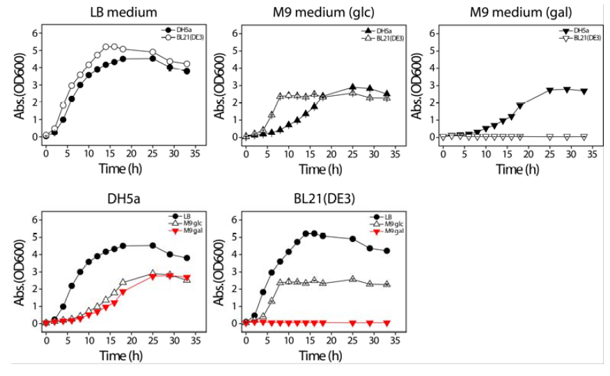 LB와 포도당 및 갈락토스가 유일탄소원으로 첨가된 배지에서의 대장균 균체성장곡선