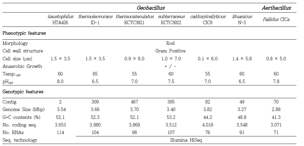 Geobacillus strains 의 표현형(phenotype), 유전형(genotype) 특징