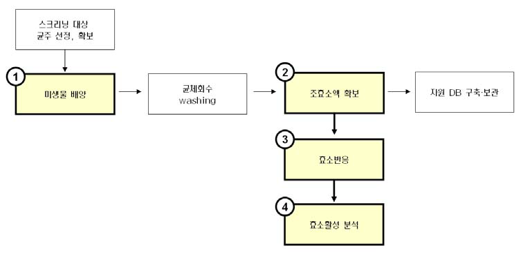 일반당 전환 활성보유 효소 발굴을 위한 미생물 스크리닝