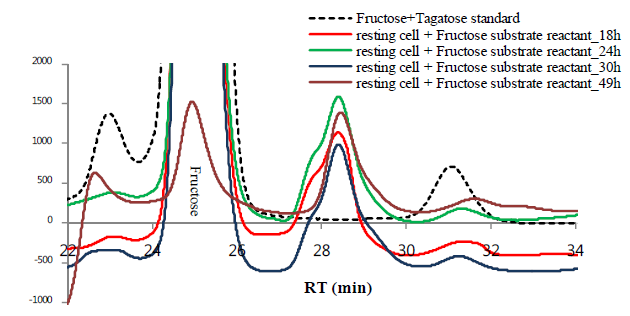 D-fructose로부터 반응 시간에 따른 타가토스 생산성 평가