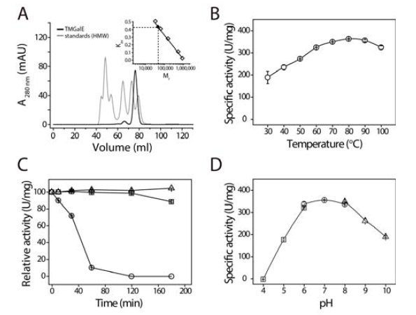 육탄당 C4에피머화 효소(TMGalE)의 물리화학적 특성
