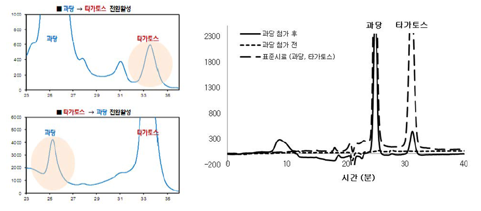 선별 4종 재조합효소 중 1종 효소 반응산물 HPLC 분석 결과