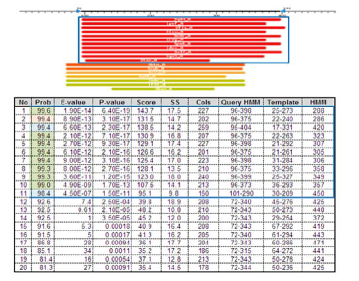 D-fructose 4-epimerase의 HHpred 분석 결과 (HMM database – pdb70_2Fe13)