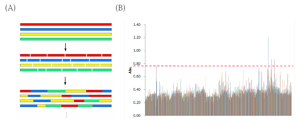 (A) DNA shuffling원리, (B) shuffle변이주 별 흡광도 차이