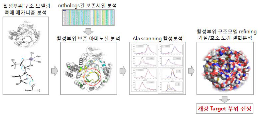 Semi-rational design을 위한 개량목표부위(target residues) 선정 개요