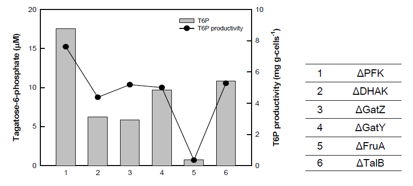 knock 유전자별 tagatose 6-phosphate생산 비교