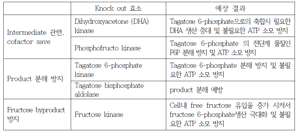 Knock out 대상 유전자(효소) 정보 및 예상 결과