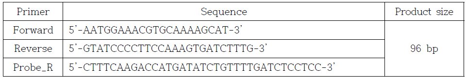 Real-time PCR/probe 염기서열