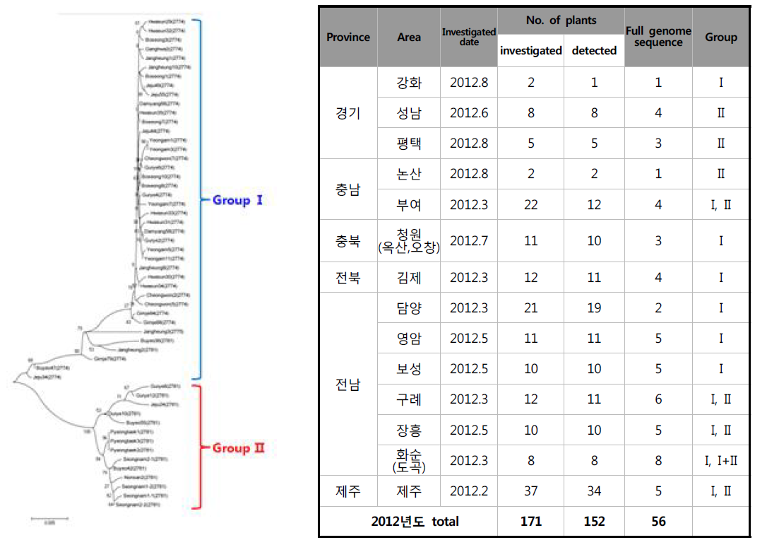 2012년도 지역별 및 시기별 TYLCV 전체 게놈 분석 및 계통 분포도