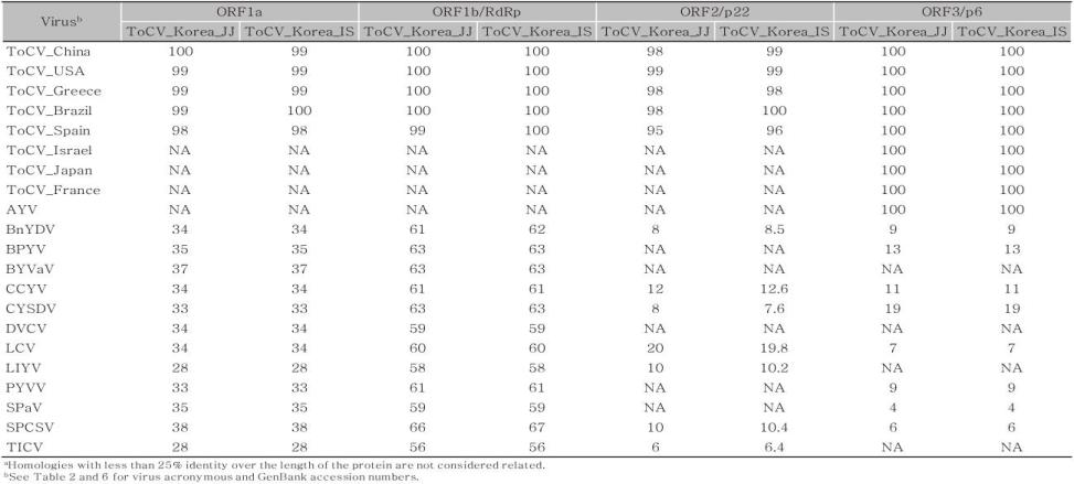 ToCV 국내분리주를 포함한 Crinivirus간에 아미노산 서열 상동성 분석 (ToCV RNA1 encoding proteins)