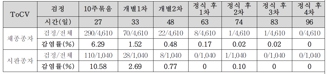 시간변화에 따른 ToCV 감염 토마토 유묘에서의 ToCV 감염률