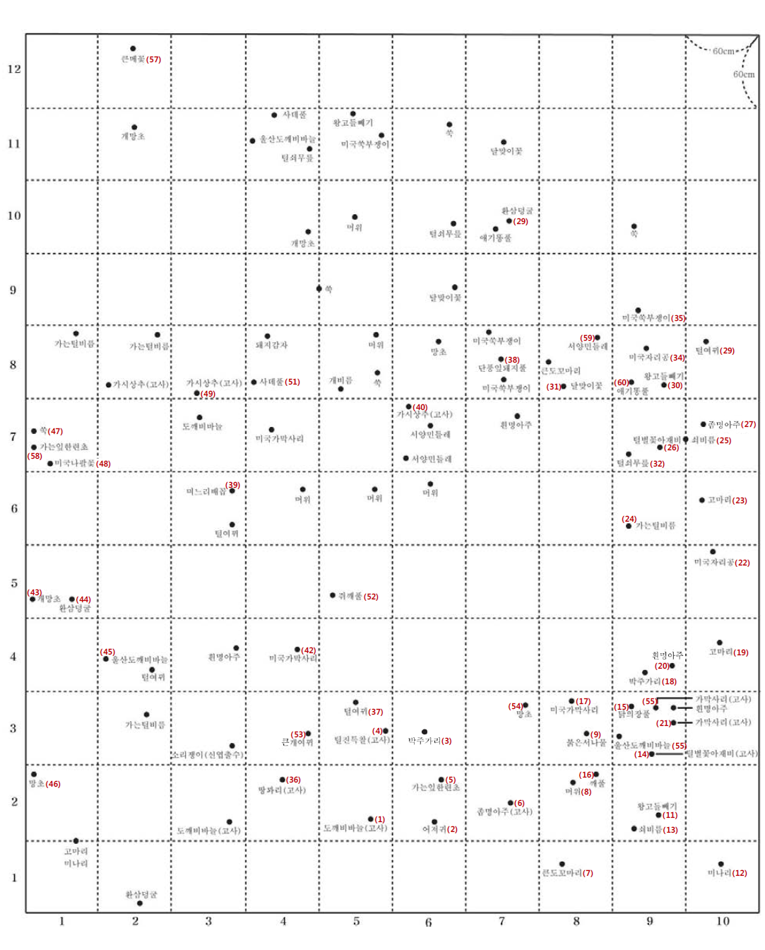 잡초 배치 및 조사대상(1∼60번) 종 모식도
