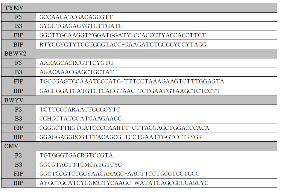 4가지의 RNA 바이러스들에 대한 등온증폭반응용 프라이머 서열