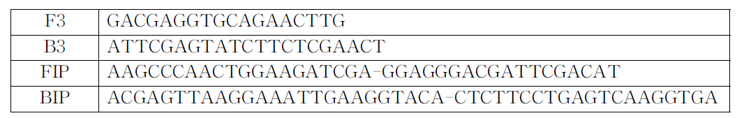 ToCV에 대한 등온증폭반응용 프라이머 서열