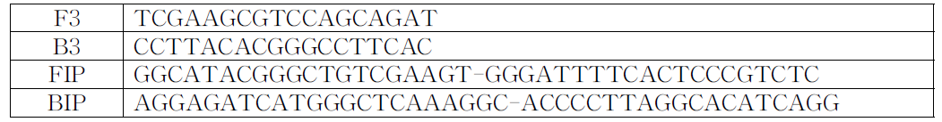 TbLCV에 대한 등온증폭반응용 프라이머 서열