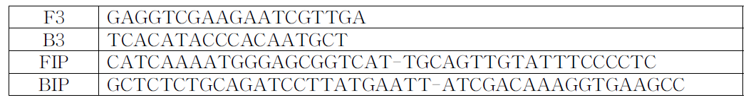 HYVV에 대한 등온증폭반응용 프라이머 서열
