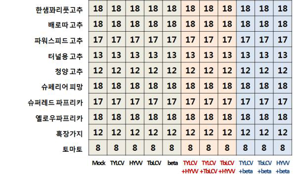 기주 확장 가능성 예찰 실험에 사용한 작물 품종들 및 바이러스들 (표 안의 숫자들은 접종한 식물의 수)