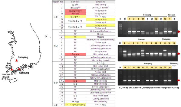 국내 EuLCV 발생 농가의 위치와 그 검정 결과