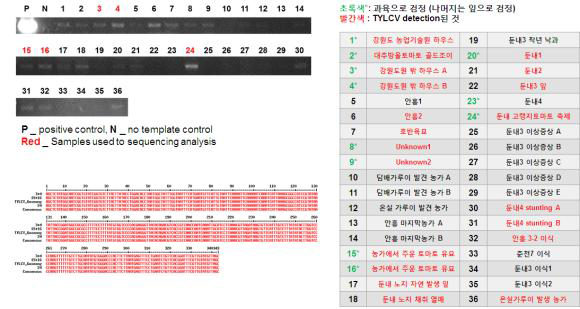 강원도 농가의 시료를 정리한 표와 PCR 및 sequencing 결과