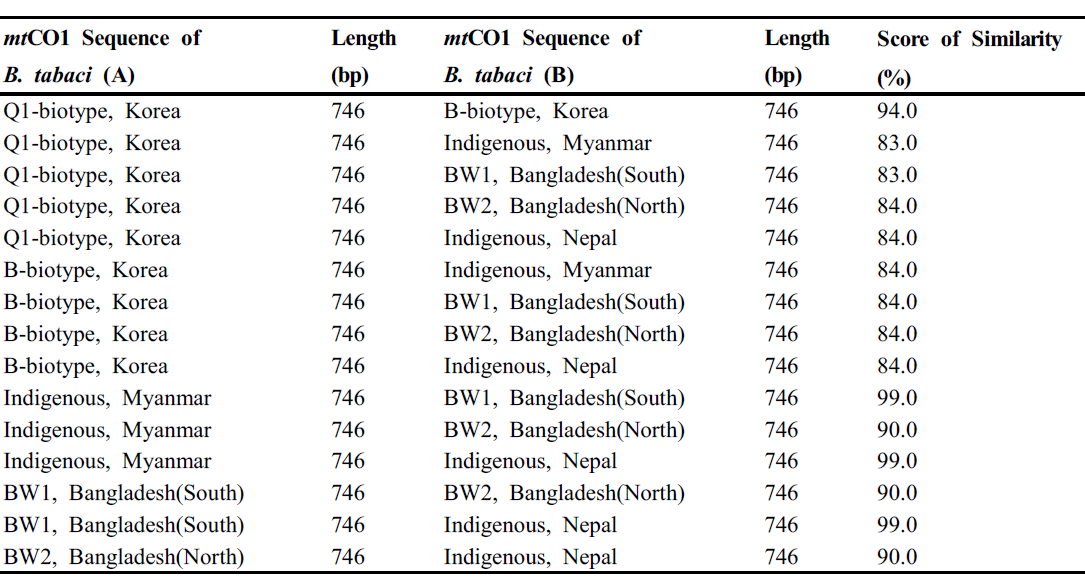 담배가루이 유전형 간의 COI 염기서열의 유사성
