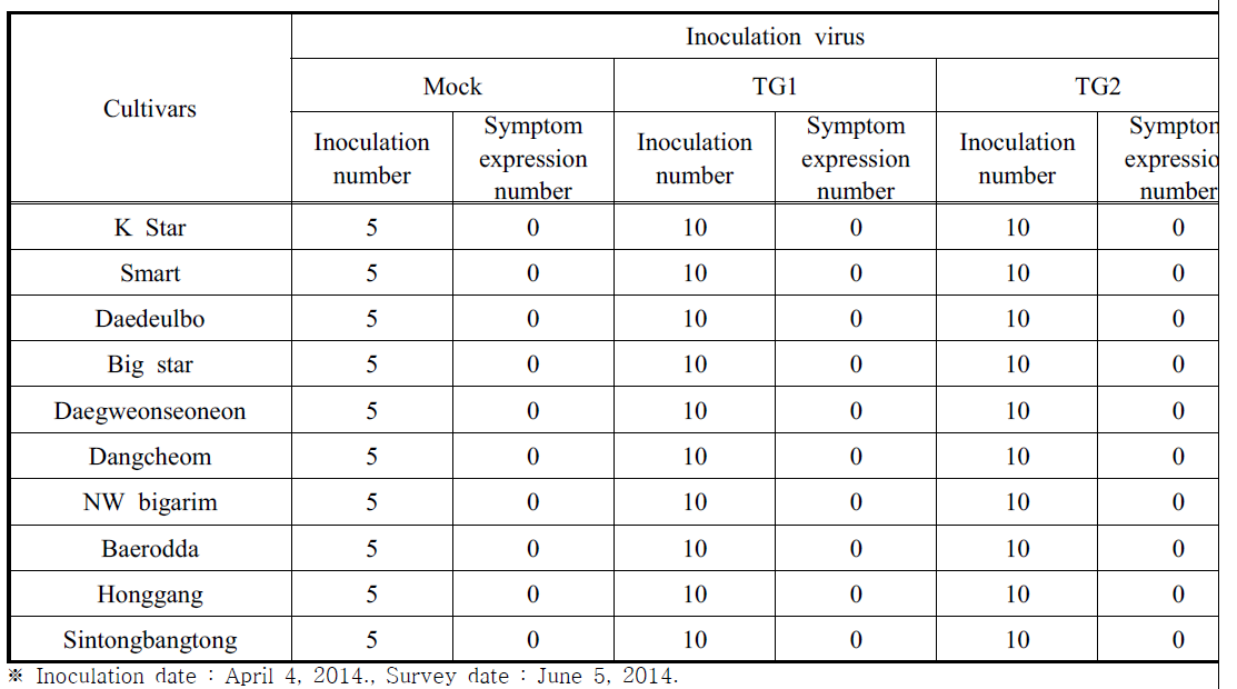 Growth characteristics of red pepper inoculated with TYLCV