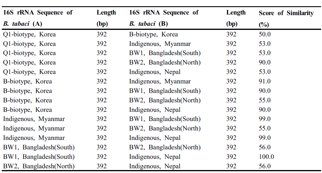 담배가루이 16S rRNA의 염기서열의 유사성 비교
