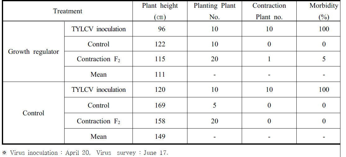 TYLCV morbidity rate by treatment with growth regulator in tomato ‘Seogwang’