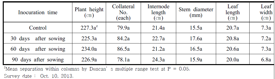 Growth characteristics of red pepper inoculated with TYLCV