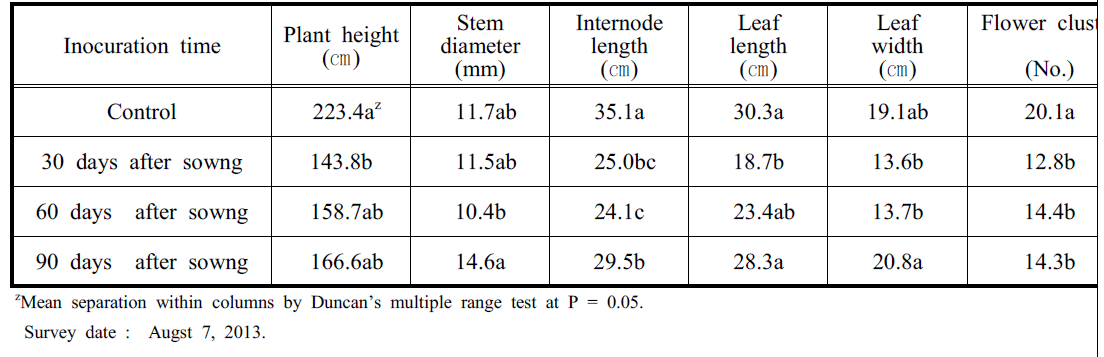 Growth characteristics of tomato inoculated with TYLCV