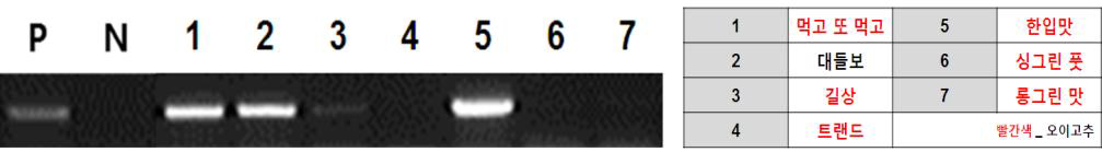 PCR test results of 6 cultivars of cucumber pepper and 1 cultivar of red pepper seeds inoculated with TYLCV.