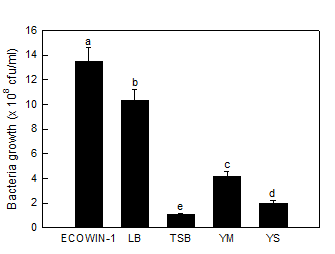 ECOWIN-1과 일반 실험용 배지를 이용 하여 GD 균주의 증식률을 비교하였다. 각각의 100 ml의 액체배지에 100 μl를 접종한 후 3 일간배 양 하였으며, NBTA 평판배지를 이용하여 개수 하 였다.