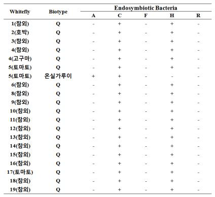 성주지역 담배가루이 biotype 및 내부공생균