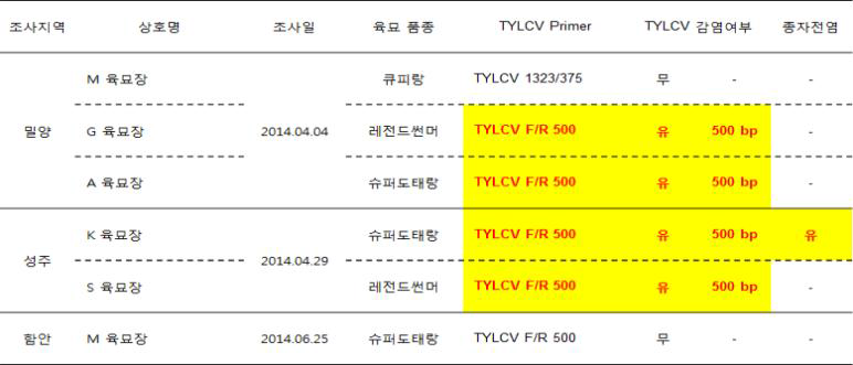 육묘장 및 종자의 TYLCV 감염 결과 요약