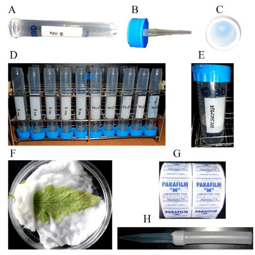 Materials are needed to conduct this probing experiment