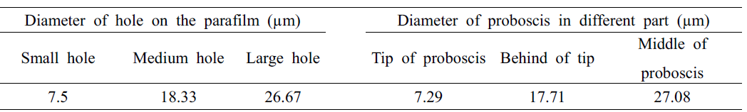 Measurement of the punctures (holes) on a parafilm and the proboscis diameter of the whitefly