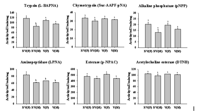 The comparison of activity profiles of digestive enzymes in day 1 (D1) adult NV femles (F) & males (M) and V females (F) & males (M) whiteflies. Each bar represents mean ± SE, (The bars in the same time set with different letters are significantly different ant p<0.05).