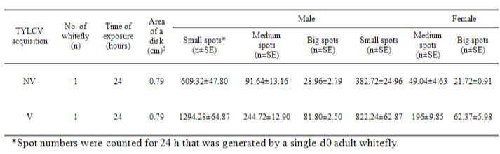 Comparison of different spot numbers between non-viruliferous (NV) and TYLCV-viruliferous (V) adult male and female whiteflies