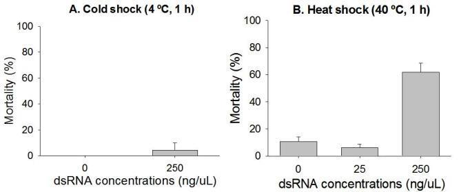 dsRNA 섭식 후 온도 충격에 따른 사망률