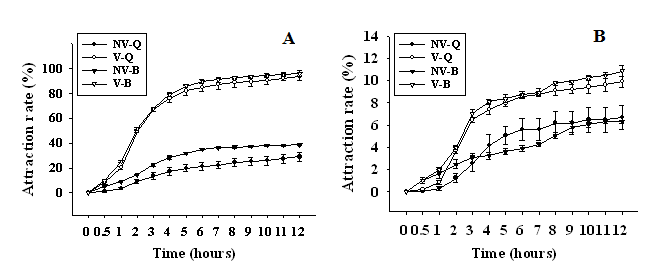 Comparison of light attraction between non-viruliferous and viruliferous B. tabaci adults into either green LED or incandescent lights.