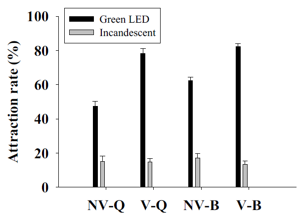 Comparative attractionsof whiteflies between Green LED and Incandescent.