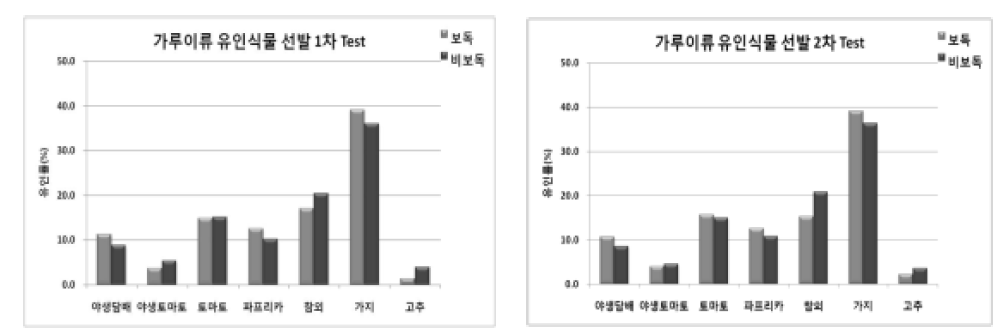 가루이류 유인식물선발 실험