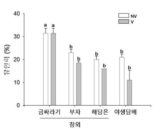 야생담배와 참외 품종별 유인력 비교 결과