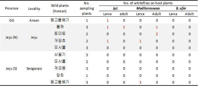 인동덩굴 잎에서 Geminivirus 보독 검정