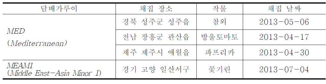 약제저항성 검정을 위해 누대사육한 담배가루이 계통