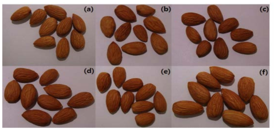 (a) 대조군과 (b) 100°C 포화수증기, (c) 120, (d) 140, (e) 160 및 (f) 180°C 과열수증기로 검출한계에 도달하기까지 처리하였을 때의 아몬드 외관 변화.